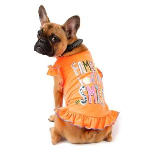 10152054_869728966374089_3566823632700708239_n