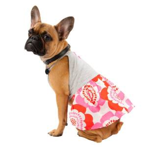 10410100_891321504214835_7315062068704710229_n