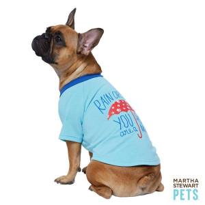 10492141_998501053496879_5337084091790049707_n