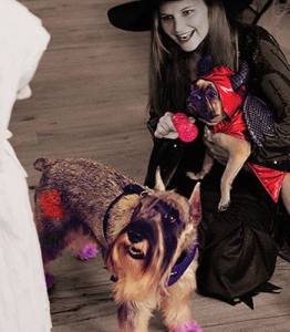 10610853_948410031839315_692629287012232028_n