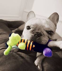 10612572_948409505172701_8185566685162141546_n