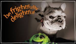 10620087_948409518506033_9188431234538483795_o