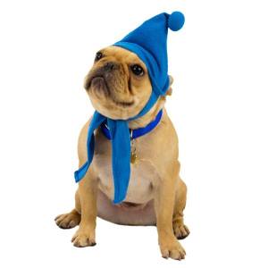 1185145_735738549773132_936495400_n