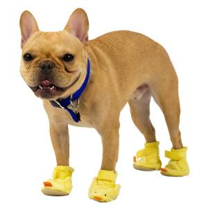 1374841_748774948469492_1849376401_n