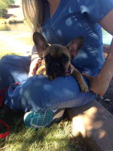 999684_764808483532805_447962643_n