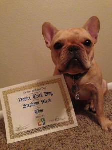 The day we received Thor's certificate and collar charm. 